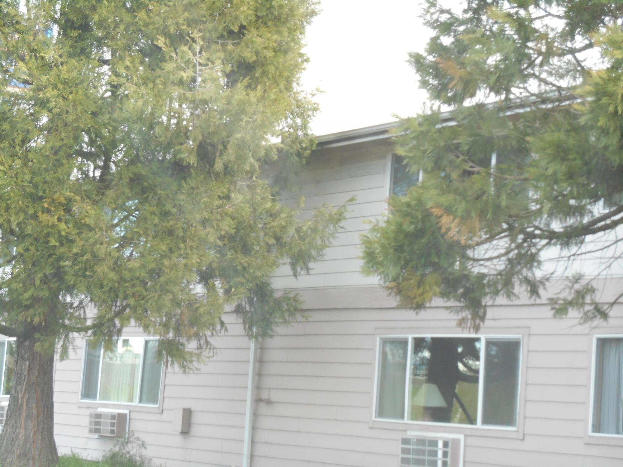 Guesthouse Inn & Suites Eugene/スプリングフィールド エクステリア 写真